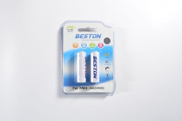 Pilas AAA / Batería tipo HR03 recargable marca Beston 750 mAh - Pack x2 -  Tecnopura